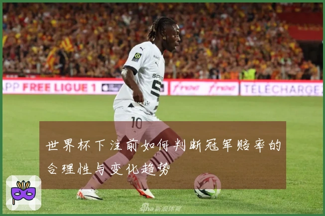 世界杯下注前如何判断冠军赔率的合理性与变化趋势