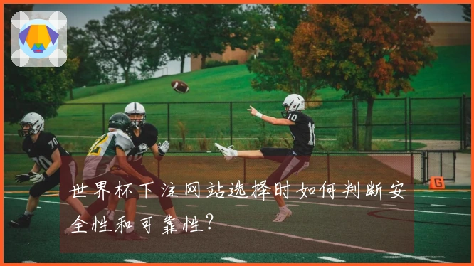 世界杯下注网站选择时如何判断安全性和可靠性？