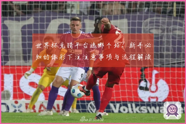 世界杯竞猜平台选哪个好？新手必知的体彩下注注意事项与流程解读